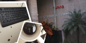 Montagem de imagens mostra a entrada do prédio do Anexo II do Tribunal de Justiça de Minas Gerais (TJMG) ao fundo e, em destaque, fotos de baratas sobre uma mesa de trabalho, próximas a um teclado e a uma xícara de café. Uma ilustração ampliada de barata reforça a ideia de infestação no ambiente de trabalho.