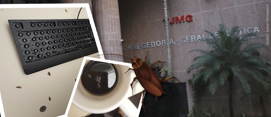 Montagem de imagens mostra a entrada do prédio do Anexo II do Tribunal de Justiça de Minas Gerais (TJMG) ao fundo e, em destaque, fotos de baratas sobre uma mesa de trabalho, próximas a um teclado e a uma xícara de café. Uma ilustração ampliada de barata reforça a ideia de infestação no ambiente de trabalho.