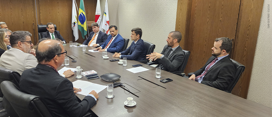 A imagem mostra várias pessoas sentadas ao redor de uma mesa de reuniões retangular, em ambiente formal. No fundo, há bandeiras do Brasil, de Minas Gerais e do TJMG. Algumas pessoas fazem anotações, enquanto outras escutam atentamente.