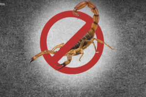 Imagem Acessível: Sobre um fundo escuro há a imagem de um escorpião amarelo com um símbolo de proibido por cima, sinalizando que o aracnídeo é uma presença indesejada.