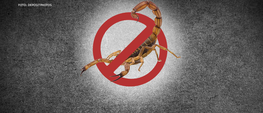 Imagem Acessível: Sobre um fundo escuro há a imagem de um escorpião amarelo com um símbolo de proibido por cima, sinalizando que o aracnídeo é uma presença indesejada.