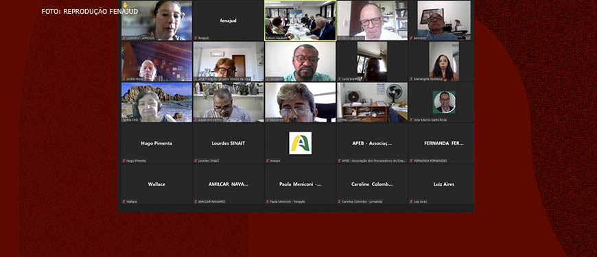 Imagem Acessível: tela de reunião virtual com a presença de diversos representantes sindicais filiados à Fenajud.
