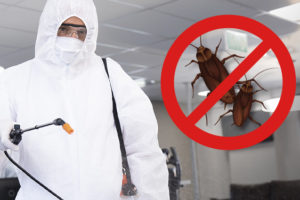 A imagem mostra um profissional vestido com equipamento de proteção (macacão branco, máscara e óculos), segurando pulverizador, realizando ação de dedetização em ambiente interno. Ao lado, há o símbolo de exterminação sobre a imagem de baratas, reforçando a ideia de combate à infestação.