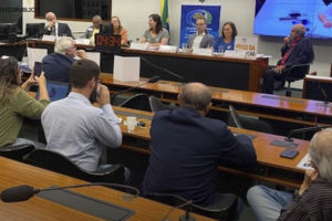 Fotografia de servidores em audiência na Câmara Federal.