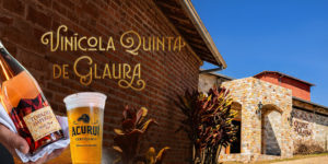 Imagem acessível: A imagem divulga o próximo passeio do NAP. A foto ao fundo mostra a fachada do destino: "Quinta de Glaura", com o muro com construção em tijolo e pedra, e telhado cerâmico sob céu azul. Em primeiro plano aparecem uma garrafa de vinho e um copo de cerveja artesanal sendo servidos. No topo lê-se em destaque “Vinícola Quinta de Glaura: Deguste vinhos finos e cervejas artesanais!”. Ao centro está a data “21 de junho, domingo” e na parte inferior o texto informa “Vagas limitadas, inscreva-se pelo formulário” junto ao logotipo do SINJUS MG.
