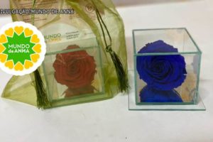 Há duas caixas de vidro transparente , cada uma delas contém uma rosa, uma delas é vermelha e a outra azul. O conjunto com a rosa vermelha está embalado em papel de presente translúcido. Do lado esquerdo, está a marca do Mundo de Anna, uma mandala formada por vários corações amarelos com um polígono verde em forma de estrela ao centro.